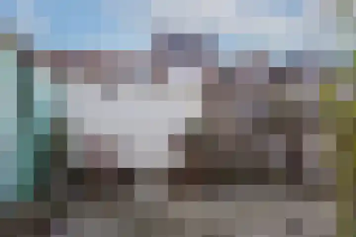 Zaagmolenweg 7 Zutphen thumbnail 23