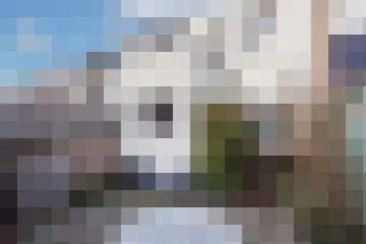 Zaagmolenweg 7 Zutphen thumbnail 24