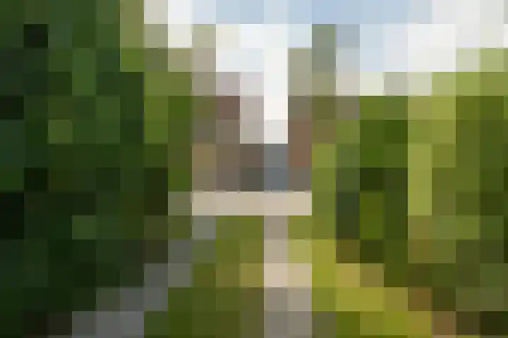 Zaagmolenweg 9 Spanbroek thumbnail 62