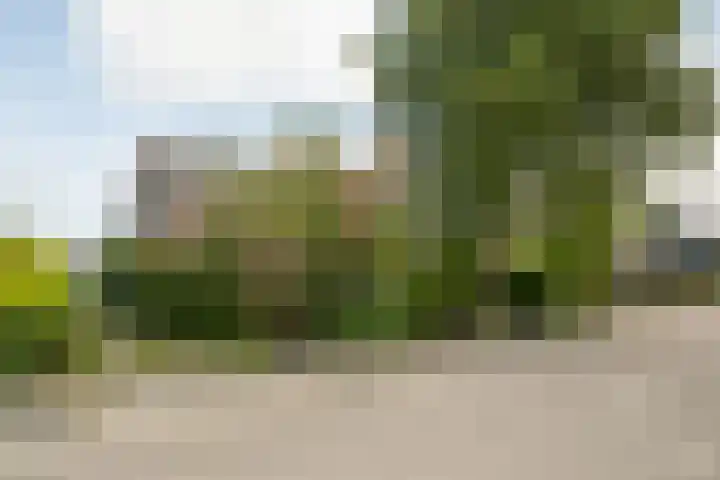 Zaagmolenweg 9 Spanbroek thumbnail 63