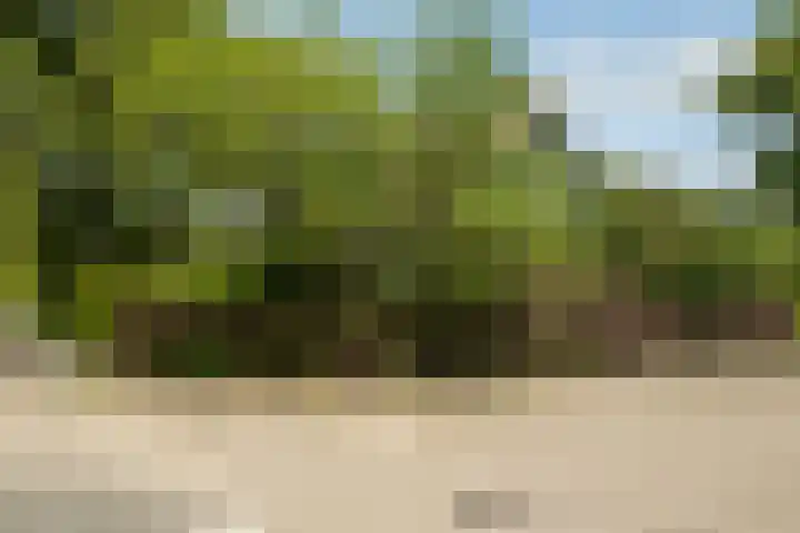 Zaagmolenweg 9 Spanbroek thumbnail 66