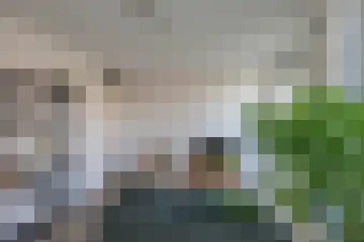 Zaagmuldersweg 1 25 Groningen thumbnail 14
