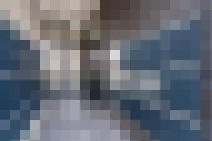 Zaagmuldersweg 1 28 Groningen thumbnail 14