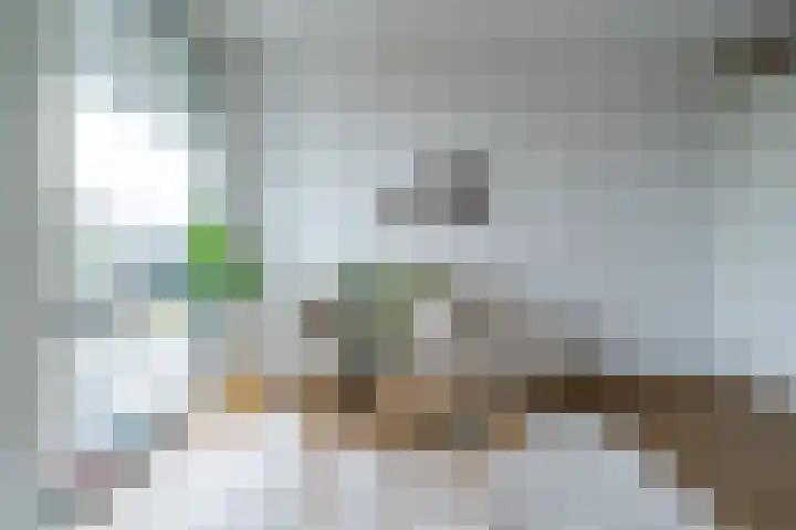 Zaagmuldersweg 1 28 Groningen thumbnail 22