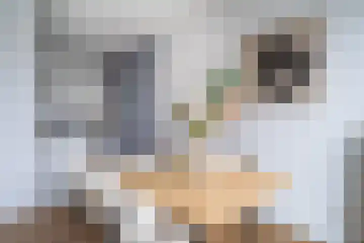 Zaagmuldersweg 1 28 Groningen thumbnail 27