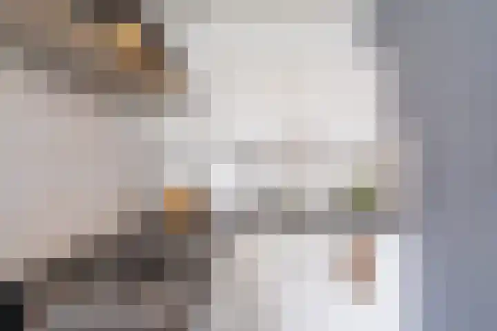 Zaagmuldersweg 1 28 Groningen thumbnail 29
