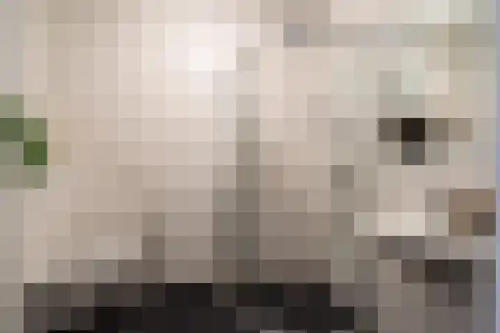 Zaagmuldersweg 1 28 Groningen thumbnail 37