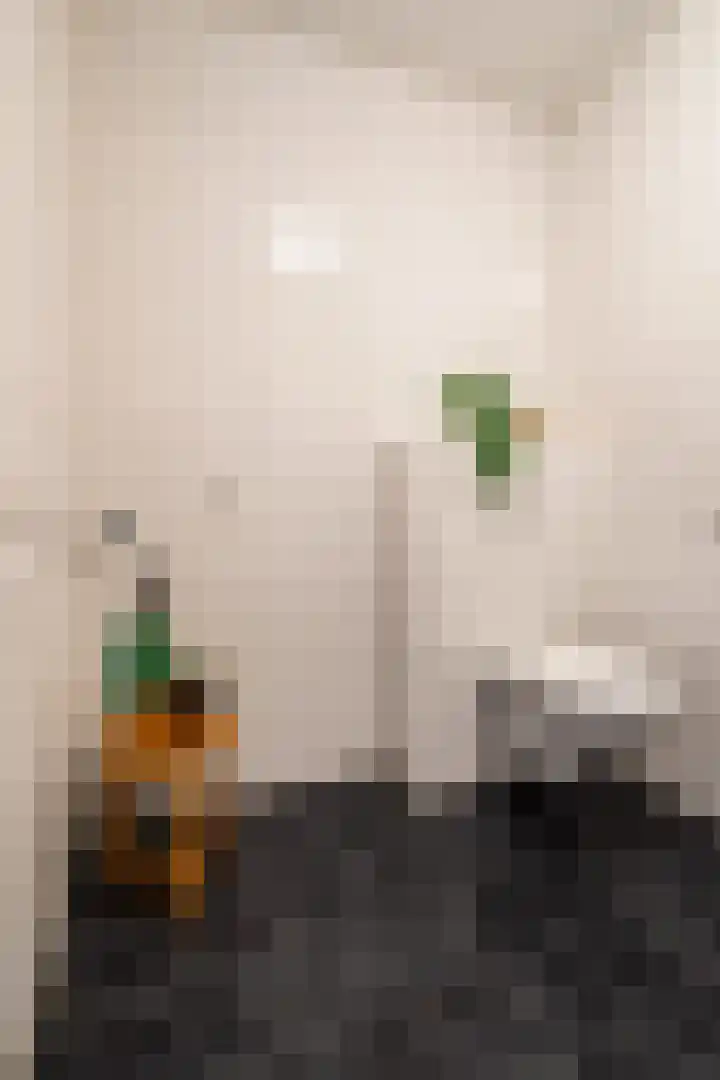 Zaagmuldersweg 1 28 Groningen thumbnail 39