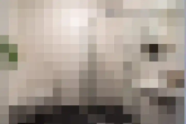 Zaagmuldersweg 1 28 Groningen thumbnail 4