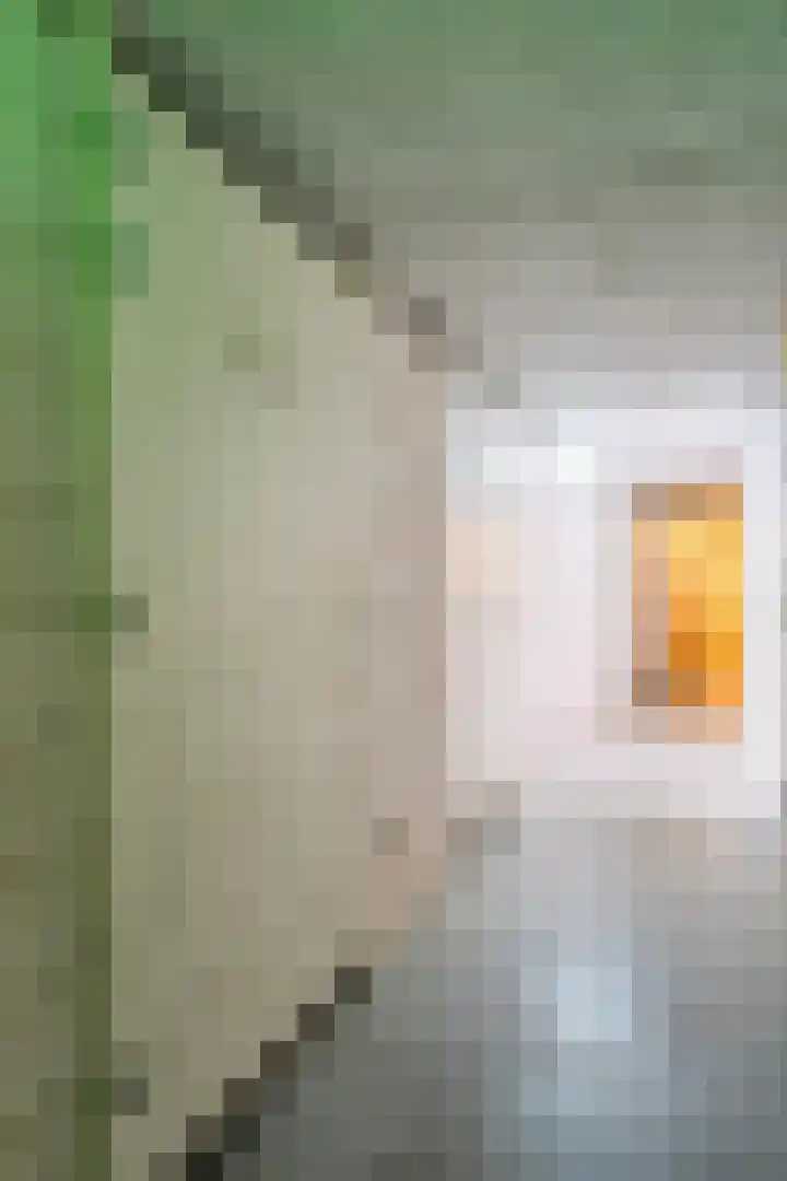 Zaagmuldersweg 1 28 Groningen thumbnail 40