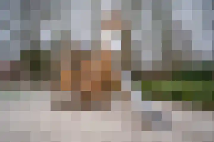 Zaagmuldersweg 1 28 Groningen thumbnail 41