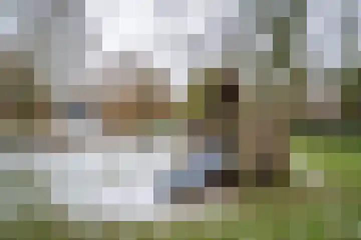 Zaagmuldersweg 1 28 Groningen thumbnail 42