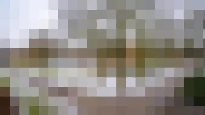 Zaagmuldersweg 1 28 Groningen thumbnail 43