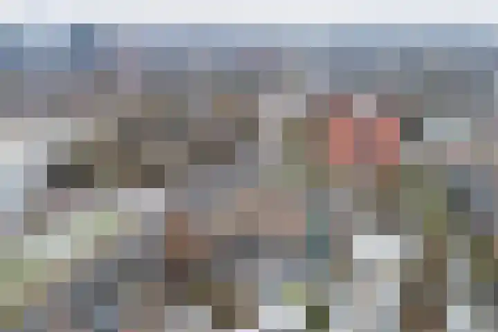 Zaagmuldersweg 1 28 Groningen thumbnail 9