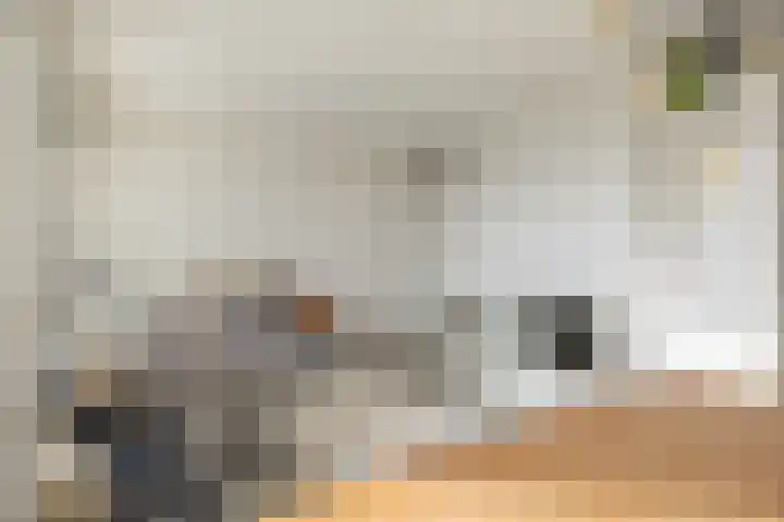 Zaagmuldersweg 1 38 Groningen thumbnail 14