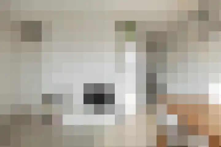 Zaagmuldersweg 1 38 Groningen thumbnail 15