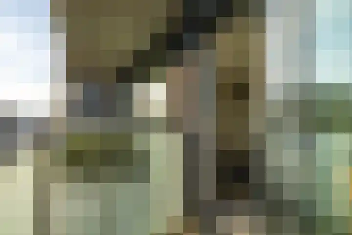 Zaagmuldersweg 1 38 Groningen thumbnail 19