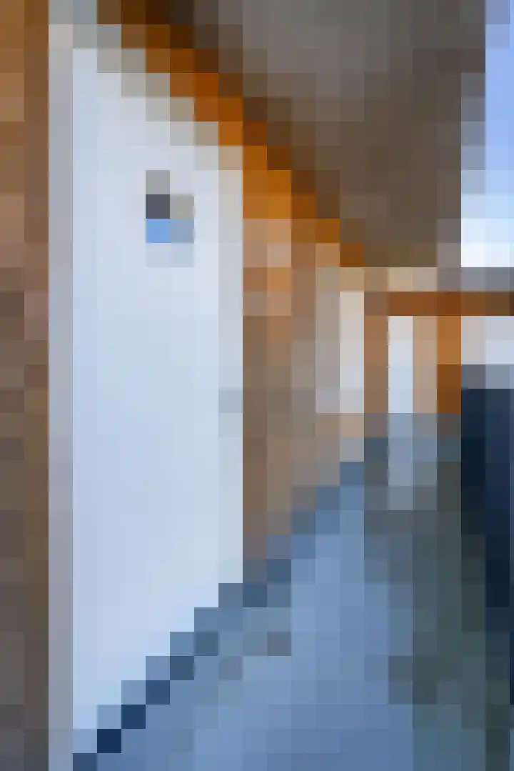 Zaagmuldersweg 1 56 Groningen thumbnail 16