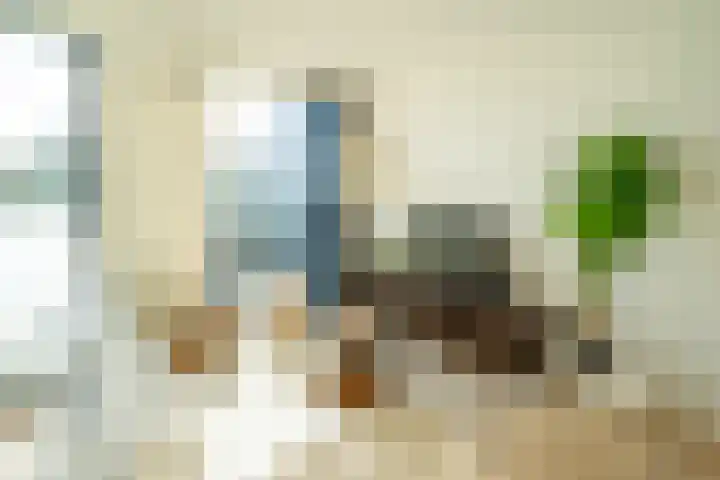 Zaagmuldersweg 1 56 Groningen thumbnail 19