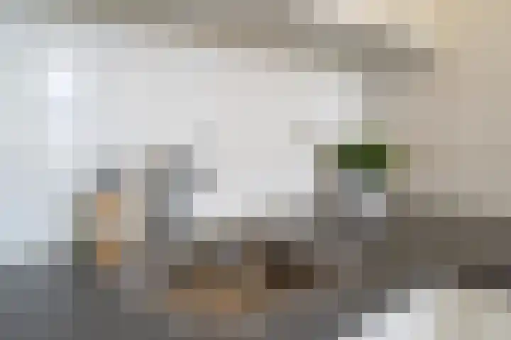 Zaagmuldersweg 1 56 Groningen thumbnail 25