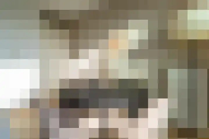 Zaagmuldersweg 1 56 Groningen thumbnail 33