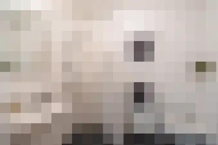 Zaagmuldersweg 1 56 Groningen thumbnail 34