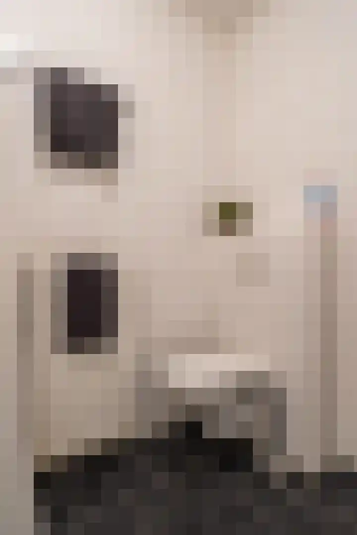 Zaagmuldersweg 1 56 Groningen thumbnail 35