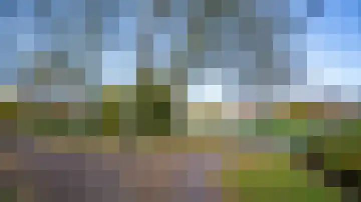 Zaagmuldersweg 1 56 Groningen thumbnail 46