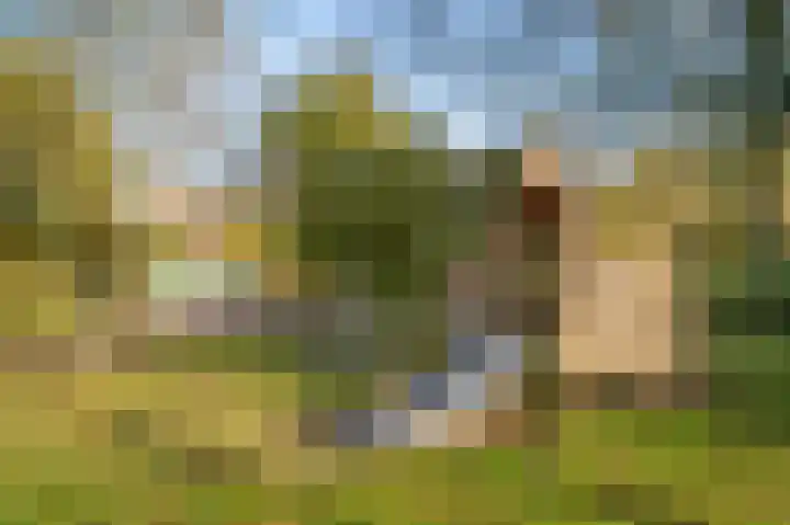 Zaagmuldersweg 1 56 Groningen thumbnail 47