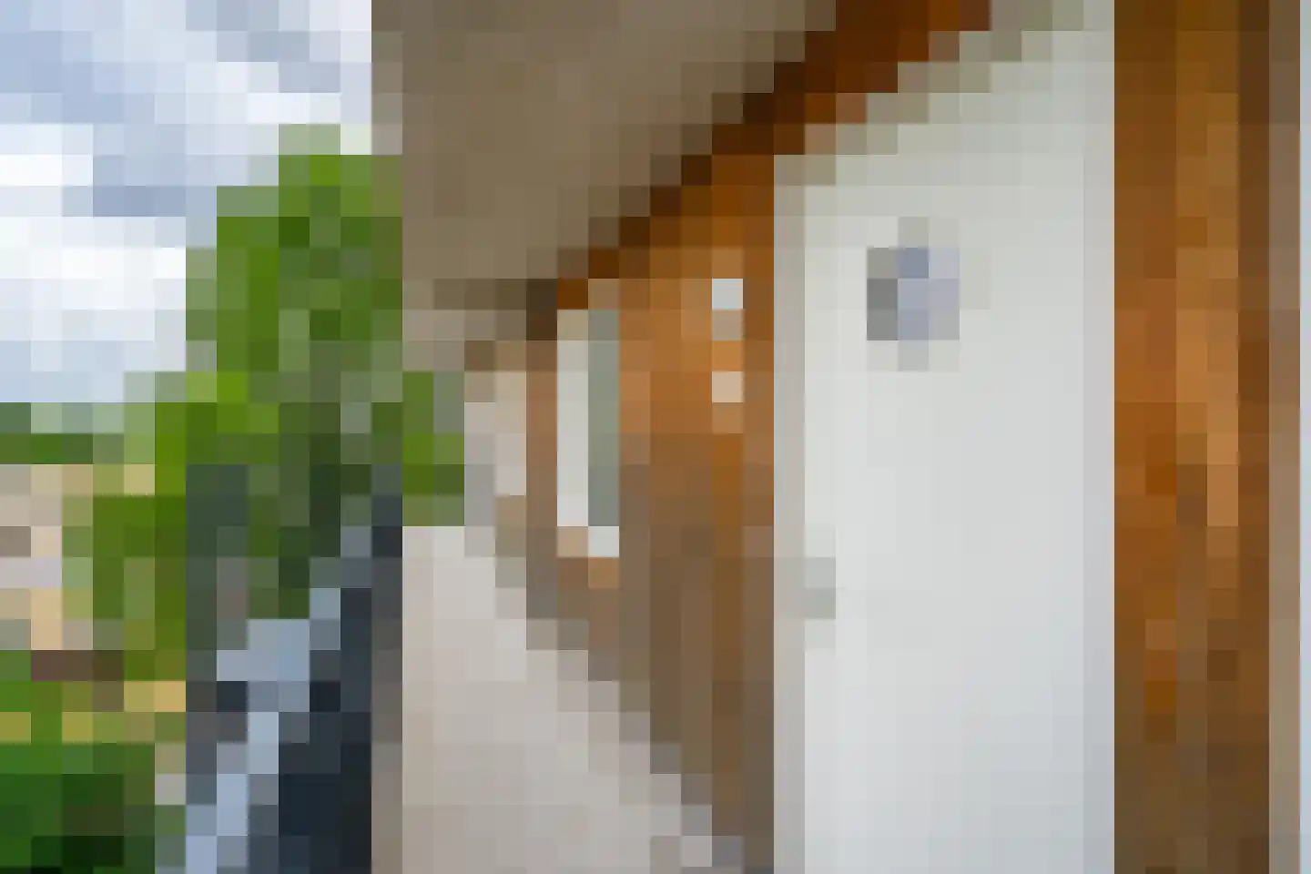 Zaagmuldersweg 1 57 Groningen thumbnail 22
