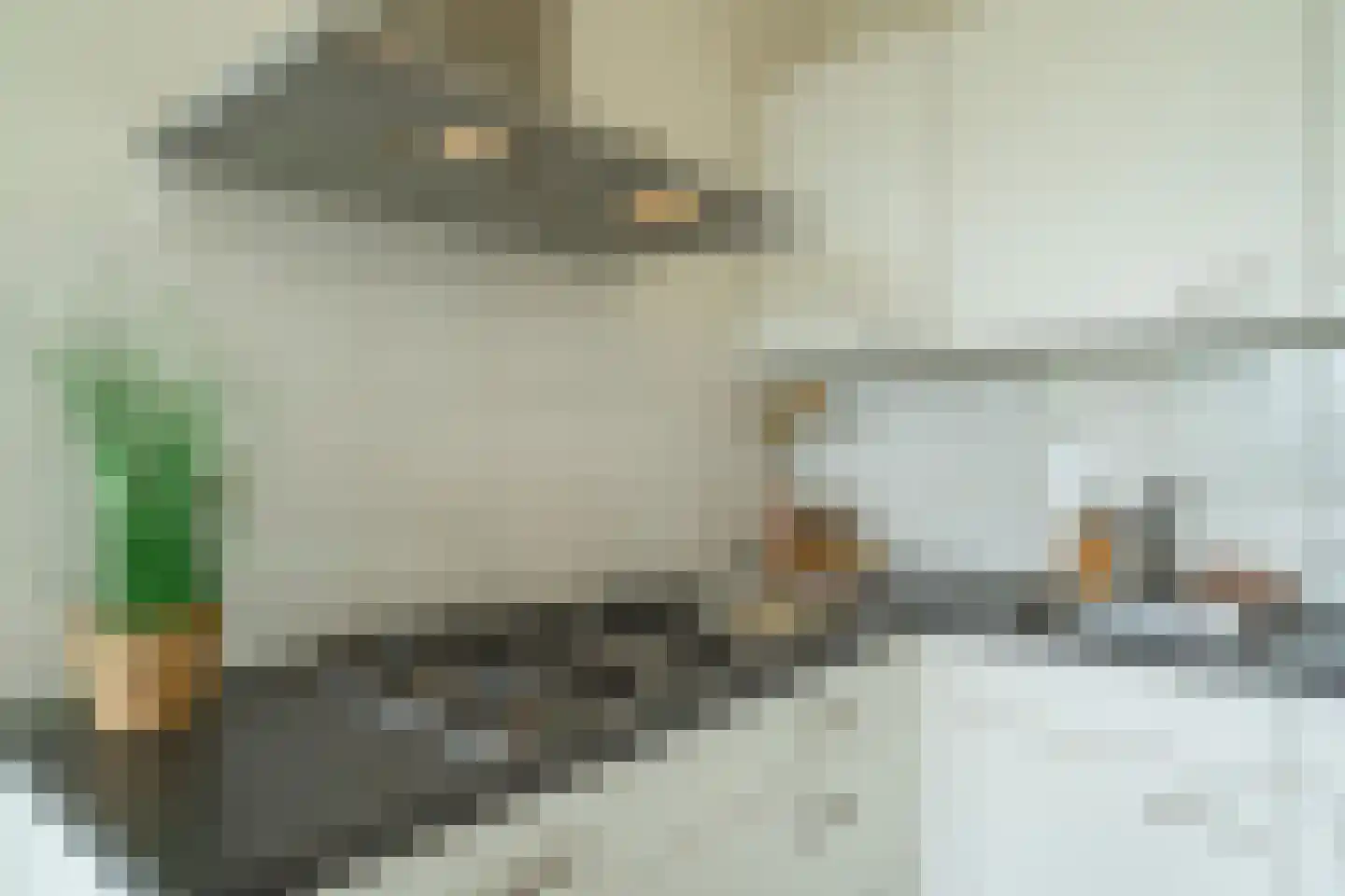 Zaagmuldersweg 1 57 Groningen thumbnail 35