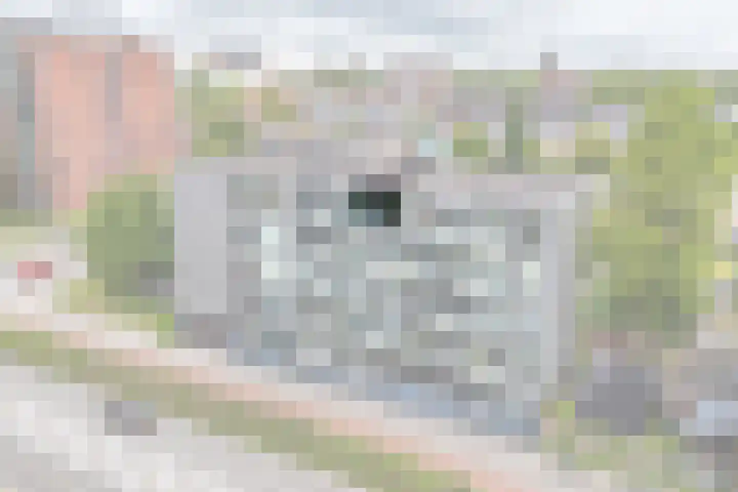 Zaagmuldersweg 1 57 Groningen thumbnail 8