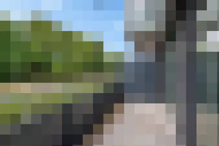 Zaagmuldersweg 1 9 Groningen thumbnail 13