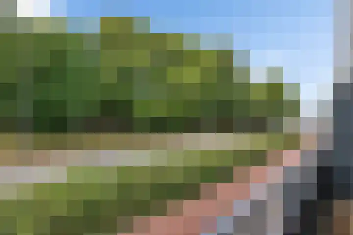 Zaagmuldersweg 1 9 Groningen thumbnail 14