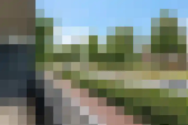 Zaagmuldersweg 1 9 Groningen thumbnail 15