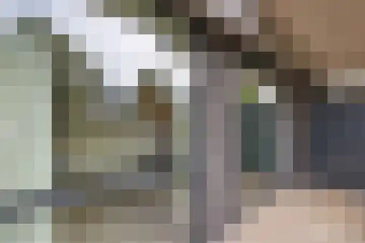 Zaagmuldersweg 1 9 Groningen thumbnail 16