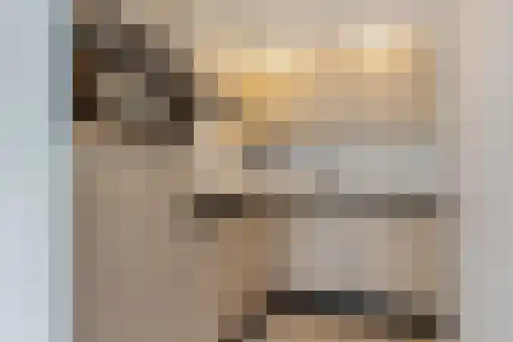 Zaagmuldersweg 1 9 Groningen thumbnail 18