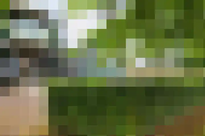 Zaagmuldersweg 1 9 Groningen thumbnail 4