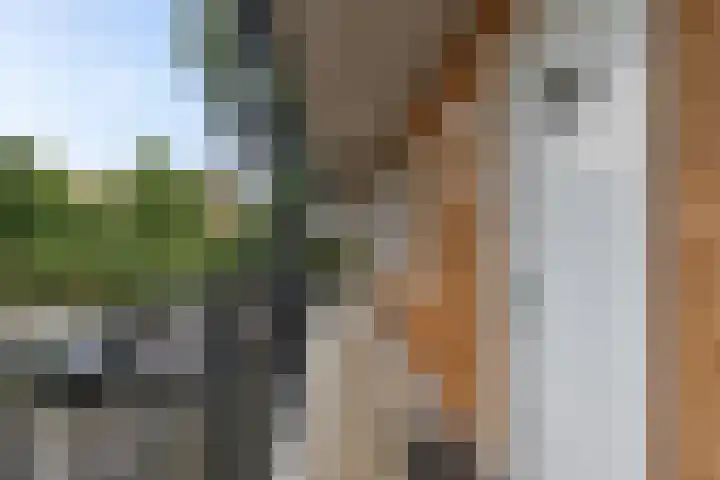 Zaagmuldersweg 1 9 Groningen thumbnail 7