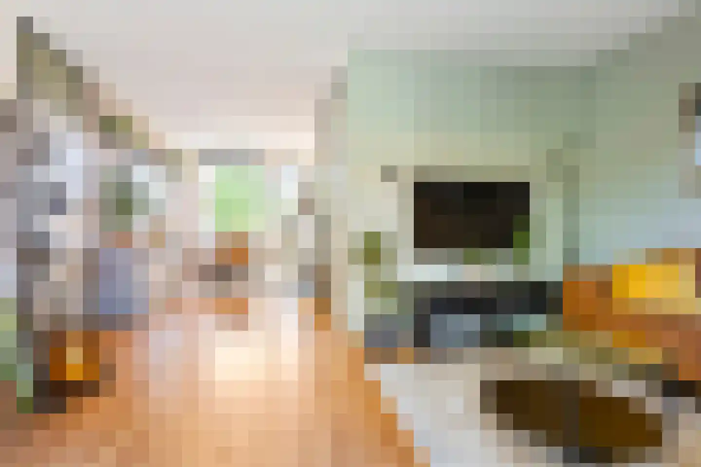 Zaagmuldersweg 100 b Groningen thumbnail 12
