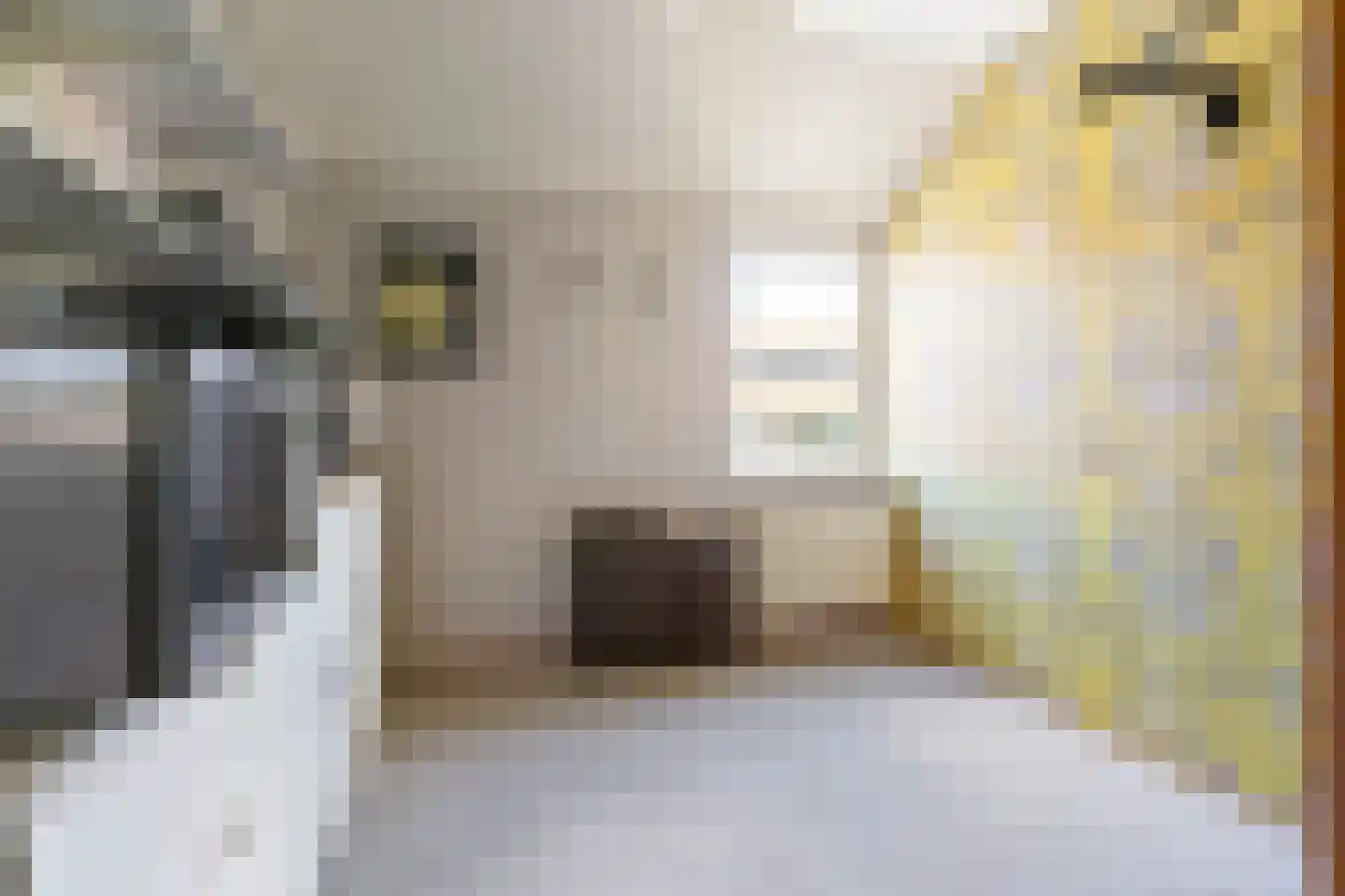 Zaagmuldersweg 100 b Groningen thumbnail 25