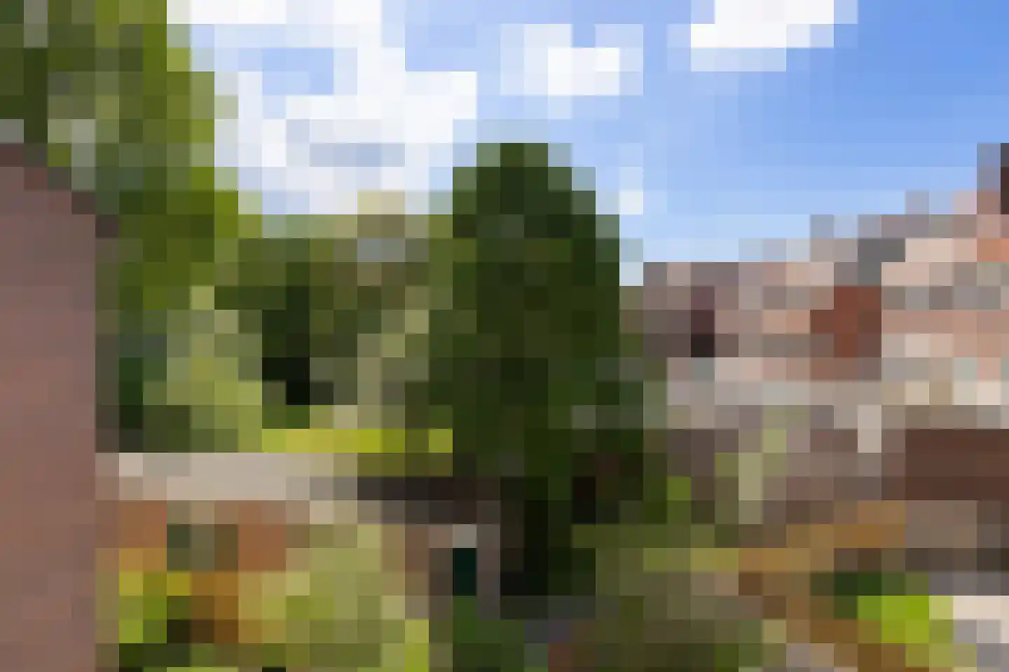 Zaagmuldersweg 100 b Groningen thumbnail 32