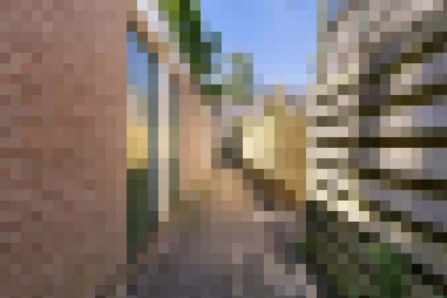 Zaagmuldersweg 100 b Groningen thumbnail 36