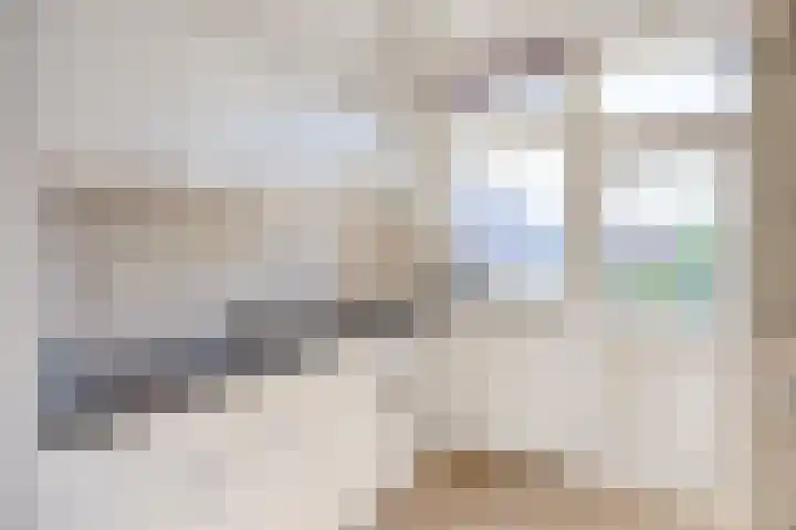 Zaagmuldersweg 14 a Groningen thumbnail 13