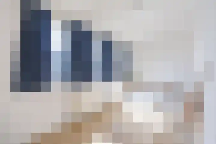 Zaagmuldersweg 14 a Groningen thumbnail 20