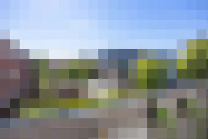 Zaagmuldersweg 14 a Groningen thumbnail 28