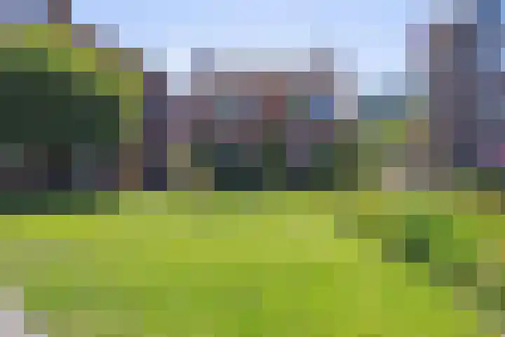 Zaagmuldersweg 14 a Groningen thumbnail 4