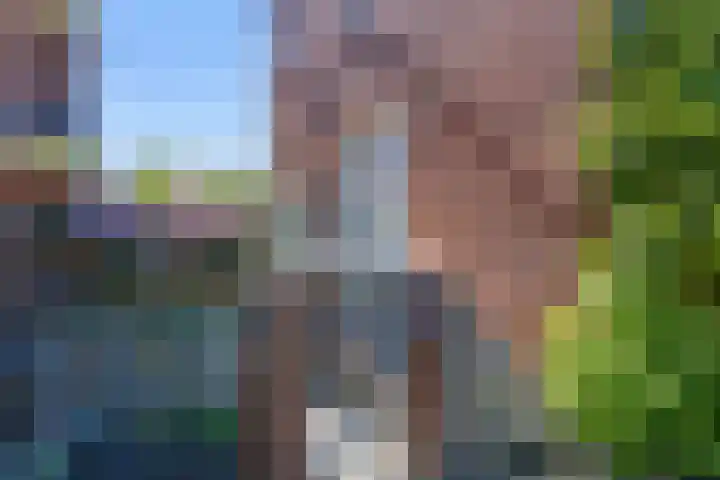 Zaagmuldersweg 14 a Groningen thumbnail 5