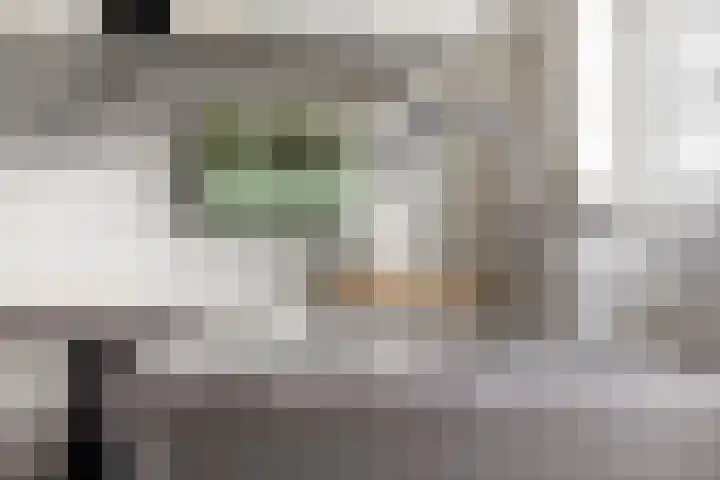 Zaagmuldersweg 14 Groningen thumbnail 12