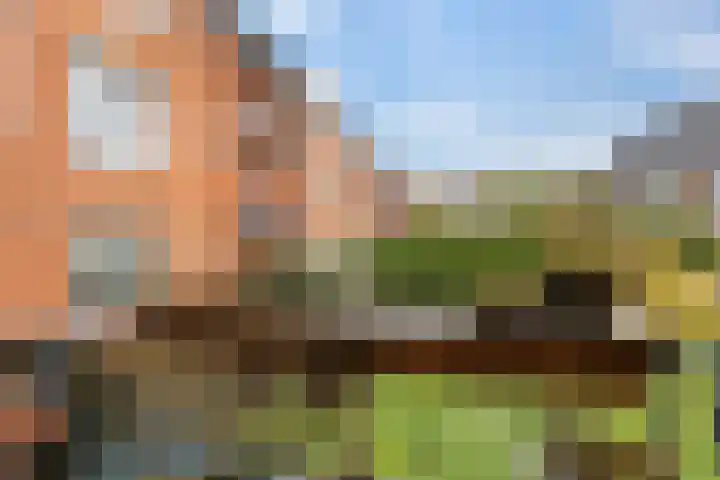 Zaagmuldersweg 14 Groningen thumbnail 14
